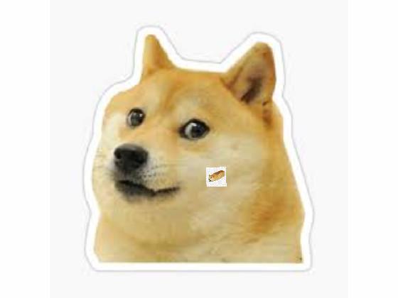 Trace Doge