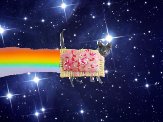 Real nyan cat 1