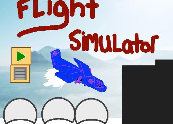 Fly simulator 1 - copy