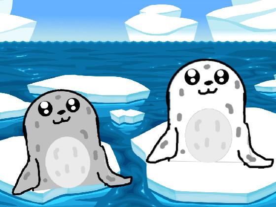 Seals and Walrus 1 1