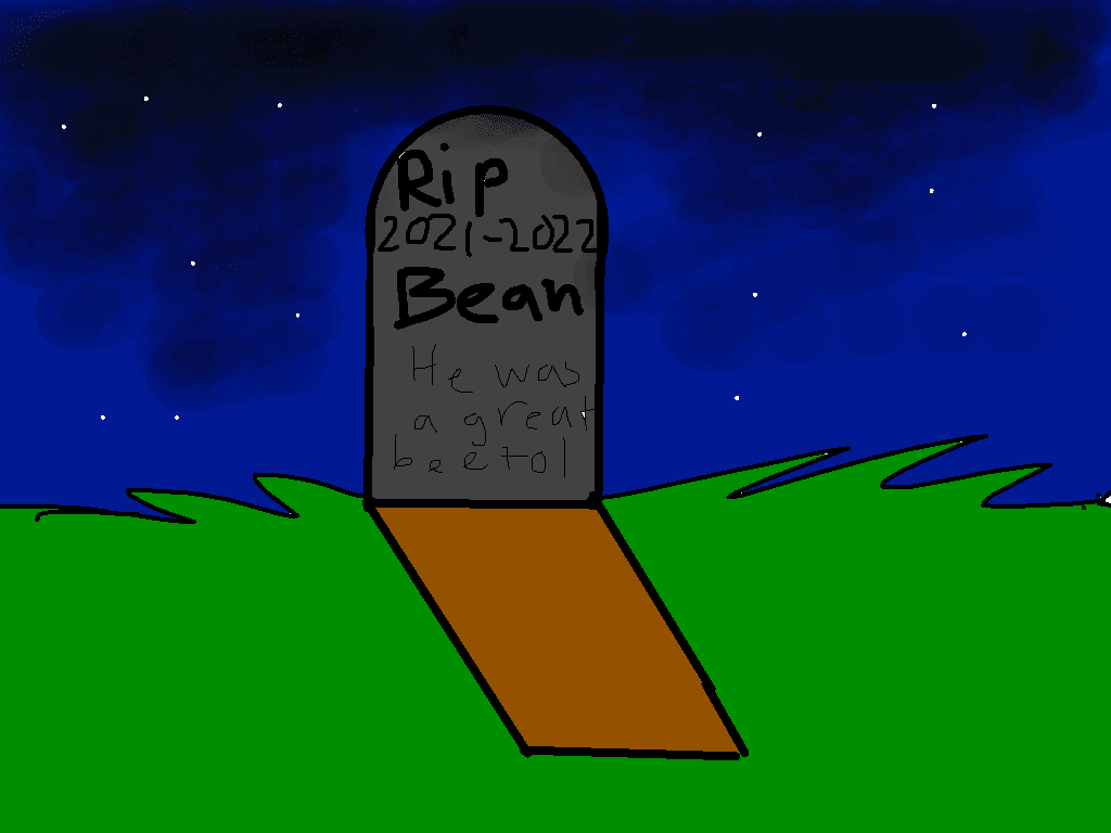 ad ur oc bean’s funeral 1 1
