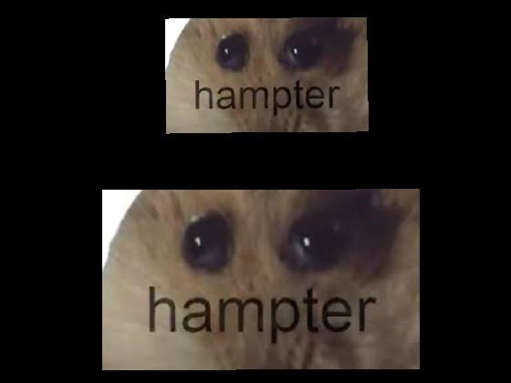 hamster jumpscare 1 1 1 1