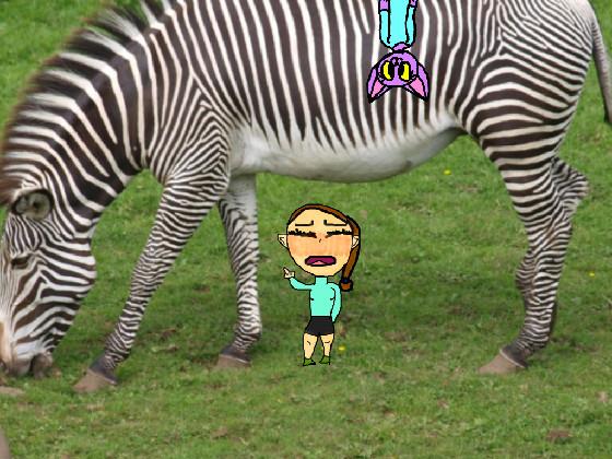 Add your oc with a zebra