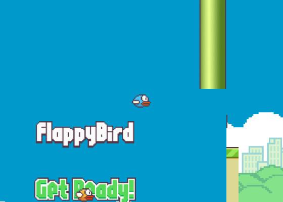 Flappy Bird 13