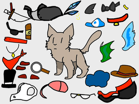 Decorate A Cat!