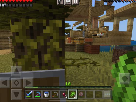 ME in Minecraft!!