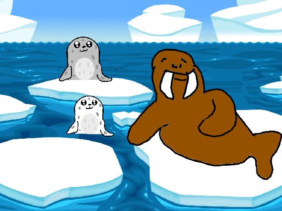 Seals and Walrus 1