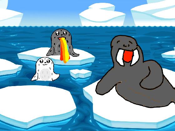 Seals and Walrus