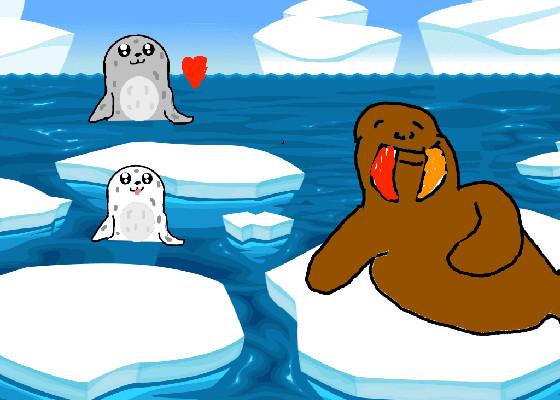 Seals and Walrus 1