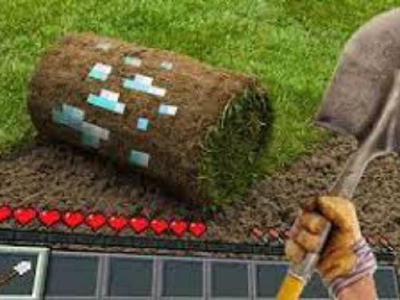 minecraft vs real