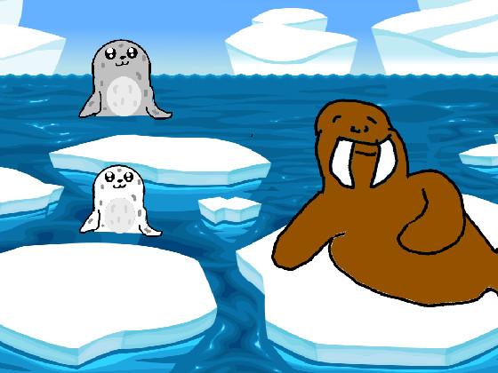 Seals and Walrus 1