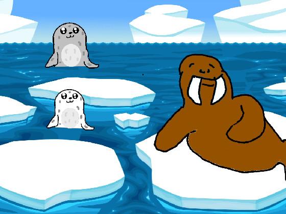 Seals and Walrus 1