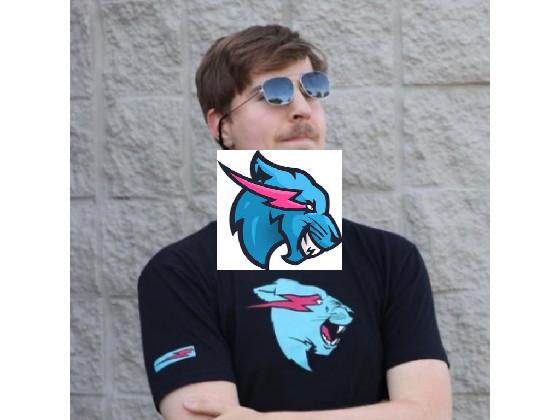 Mr. Beast draw