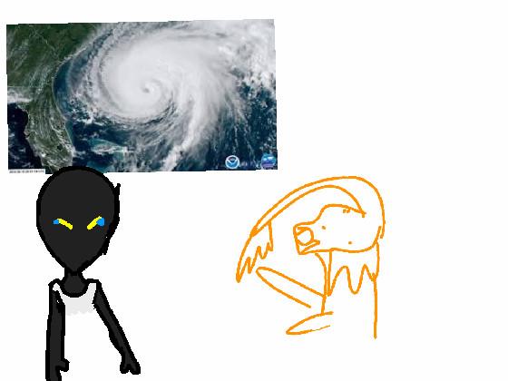 I hate hurricNes 1