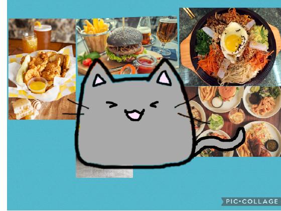 a cat with food.