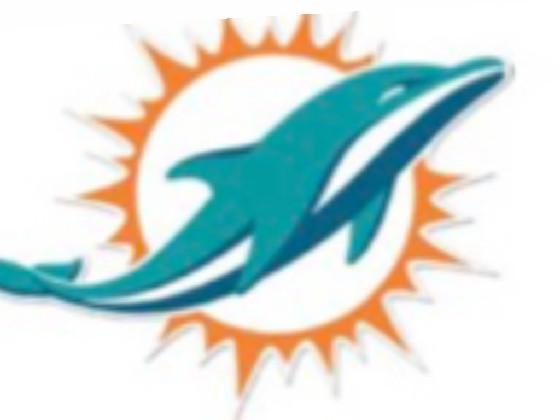 let’s go dolphins 