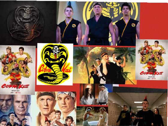 Cobra kai 1