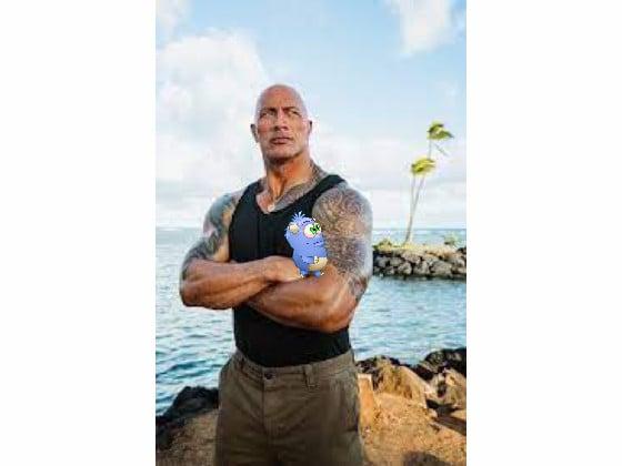 the rock by the ocean