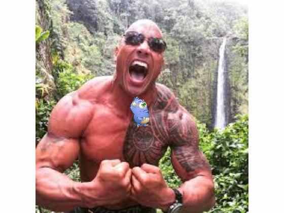 the rock at the rainforest