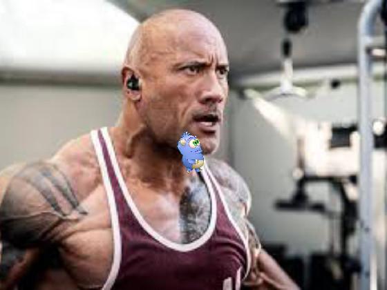 the rock