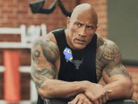 the rock