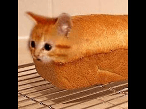 catbread games 1