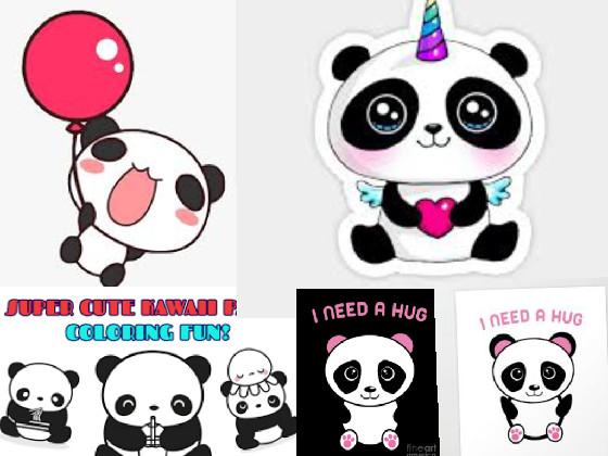 to panda lover