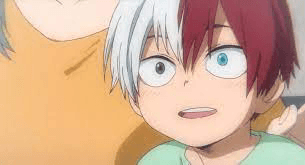 todoroki 1