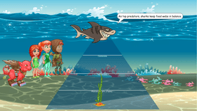 Ocean Ecological Pyramid