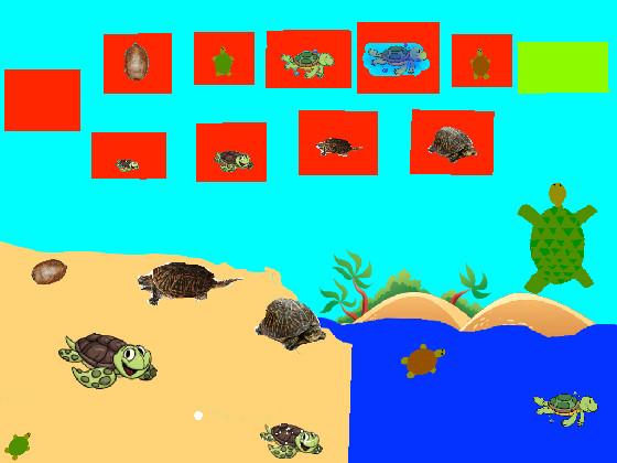 Turtle Clicker!  1