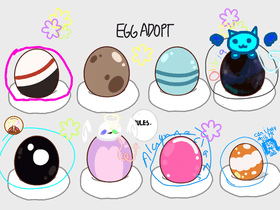 egg adoption thing  1 1