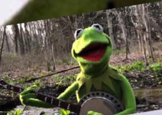 your best friend Kermit!!!!!!!!,!,!,!