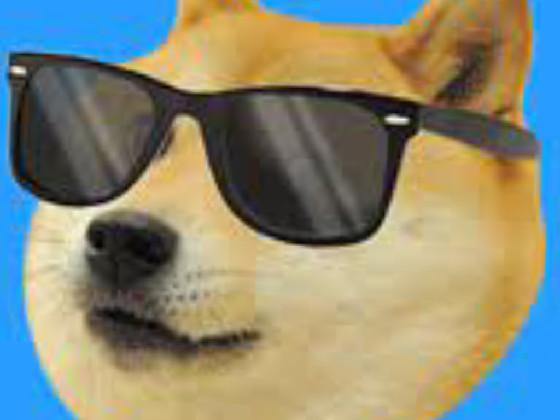 Doge dude