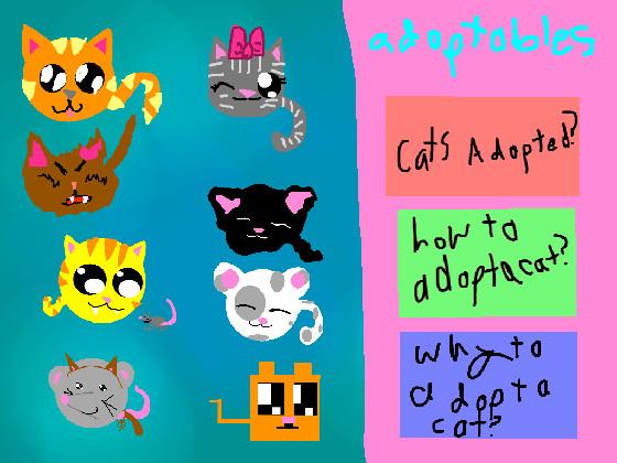 adopt a cat 1