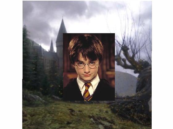 Harry Potter trivia 1 1