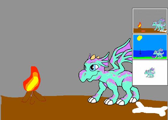 My dragon pet