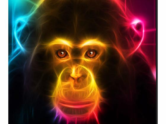 here comes the rainbow monkey