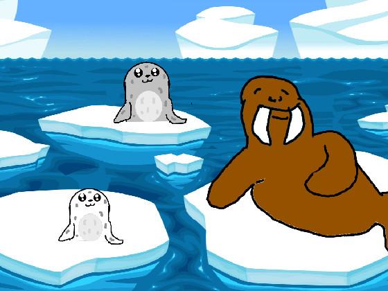 Seals and Walrus 1 1