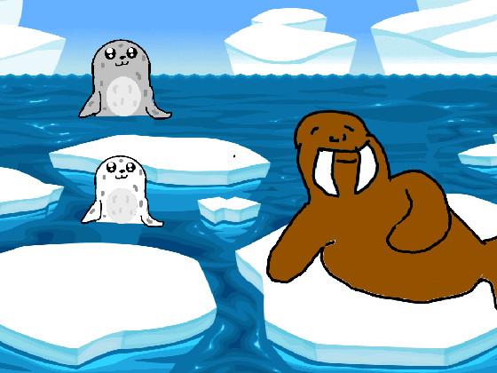 Seals and Walrus 1