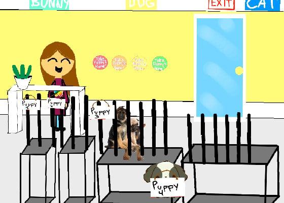 The pet shop!  1