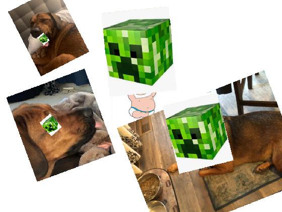 creepers