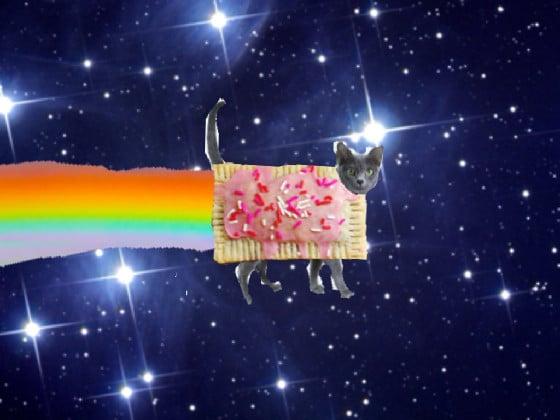 Real nyan cat by dawson