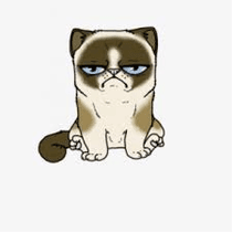 Grumpy Cat (SPECIAL) (FIXED)