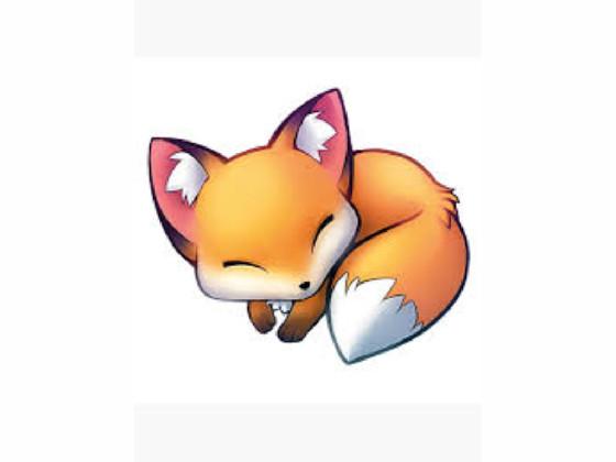 cute fox