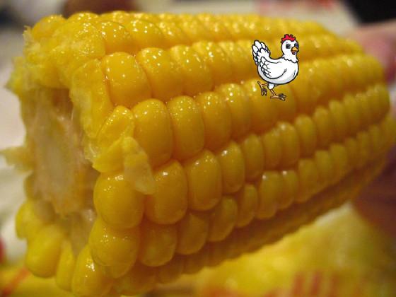 iT’S cOrN