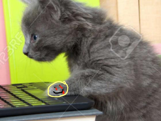 gamer kitten 1