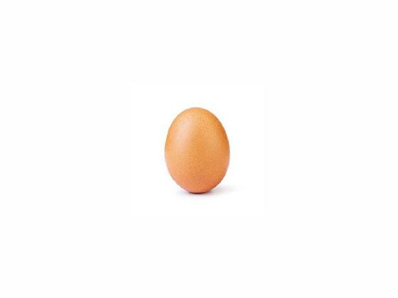 EGG