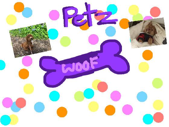 PETZ 1