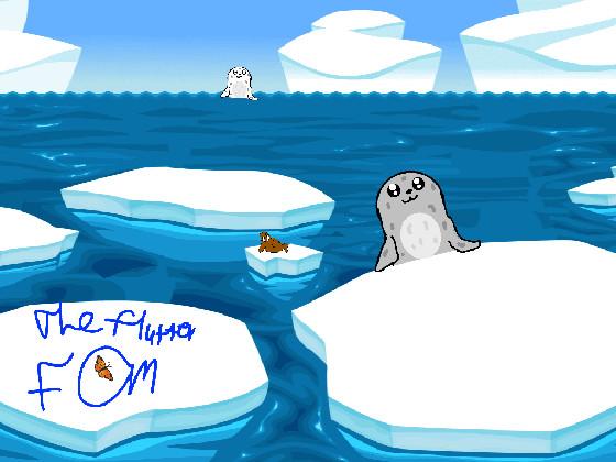 Seals and Walrus 1