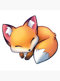 cute fox 1